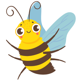 Wondefitz